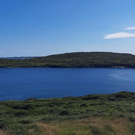 Conneelys Cottage, Connemara, Clifden, H71Y096 Екстер'єр фото